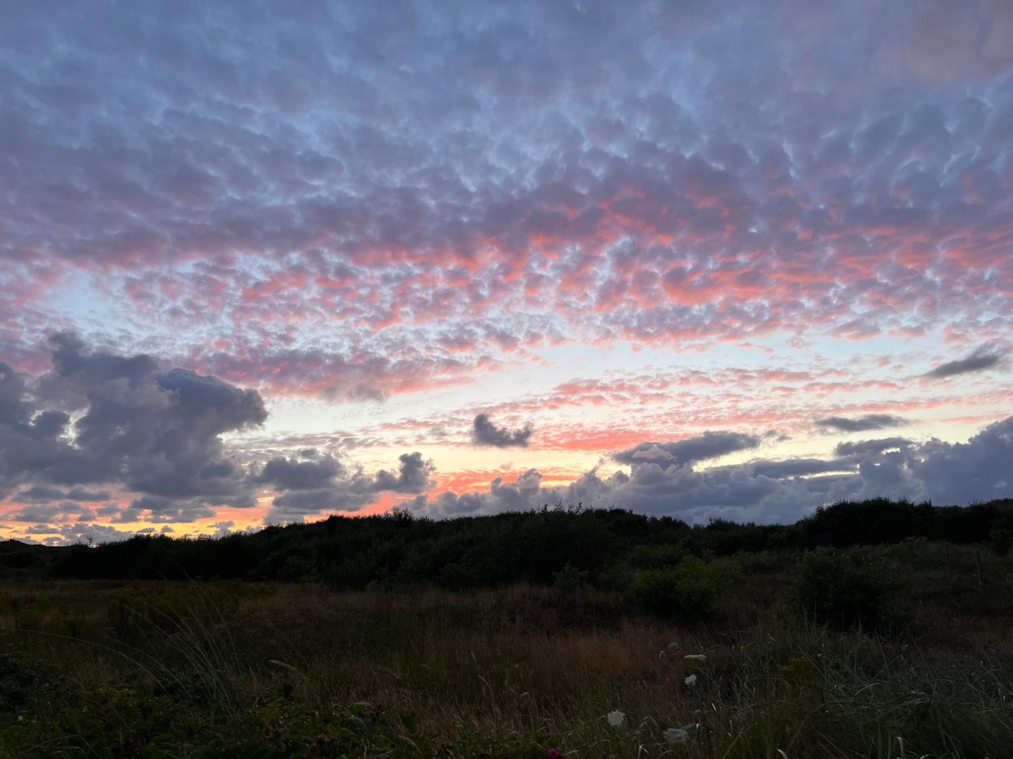 B&B In De Duinen De Koog  Buitenkant foto